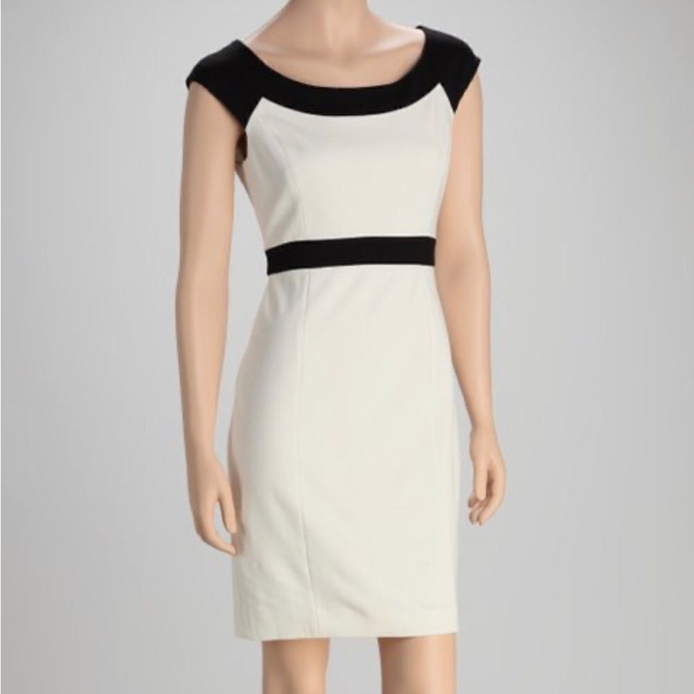 Cynthia steffe black and off white body con dress size 8 new with tags